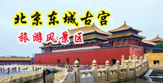 看中国男人日美女嫩逼的视频中国北京-东城古宫旅游风景区
